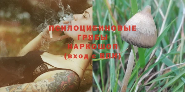 спиды Покачи