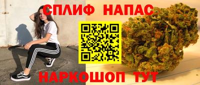 гидра Беслан