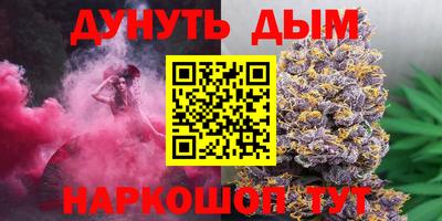 гидра Беслан