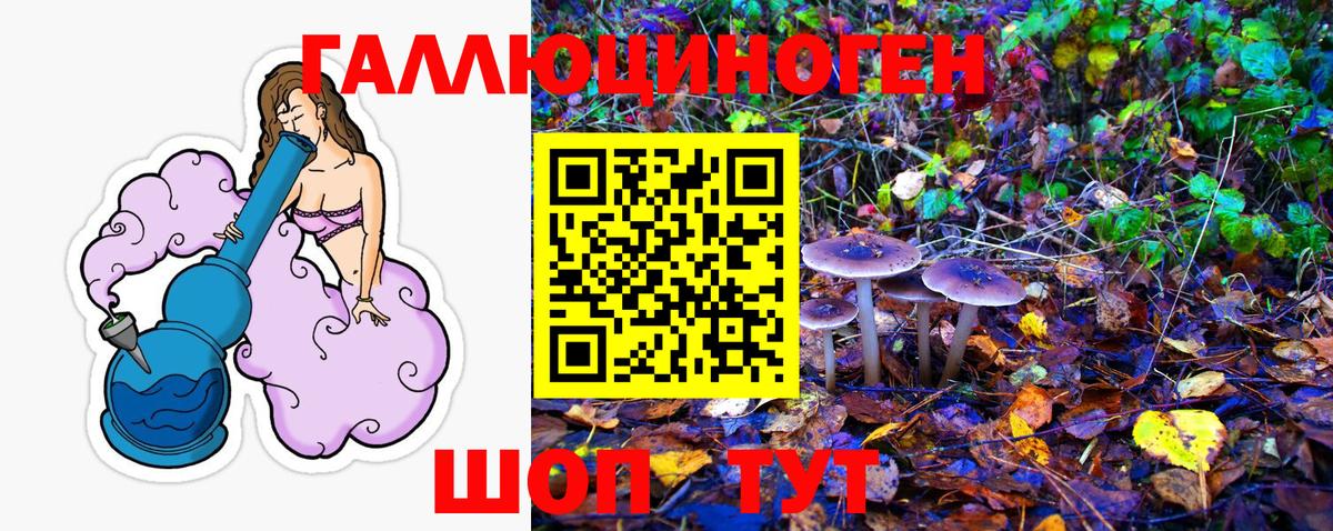 Псилоцибиновые грибы MAGIC MUSHROOMS Вольск