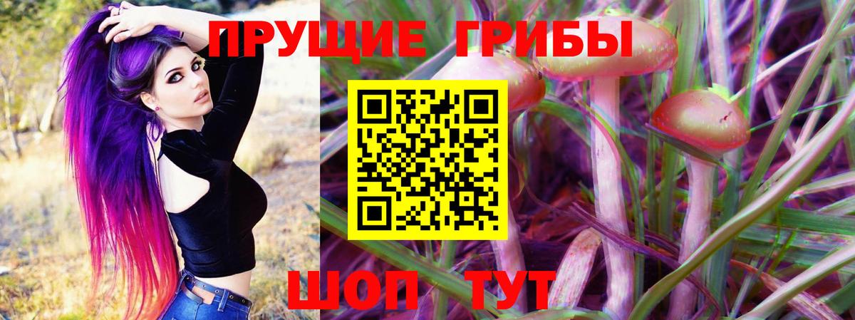 Псилоцибиновые грибы ЛСД  Вольск  Псилоцибиновые грибы Magic Shrooms 