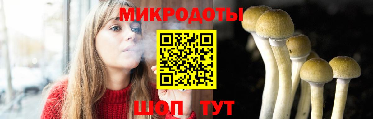 Вольск  Псилоцибиновые грибы Magic Shrooms  Псилоцибиновые грибы Cubensis  Вход с VPN 